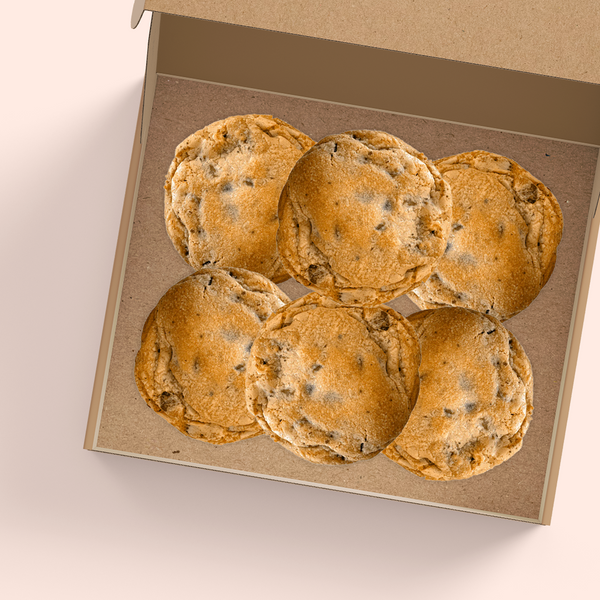 ユッキー　11ボックスセット Exo-Tec® Card Box 450+ – Vault X US