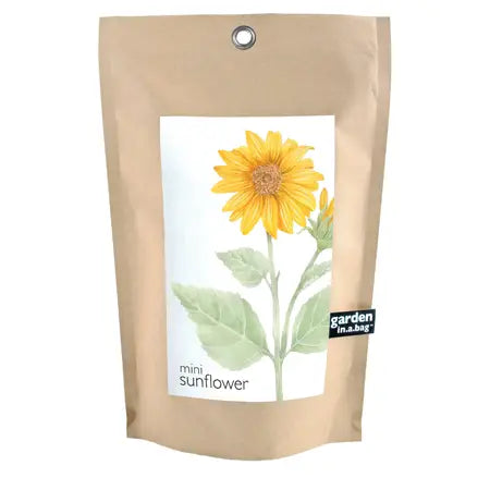 Mini Sunflower Garden in a Bag