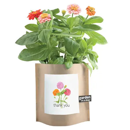 Thank You Garden in a Bag