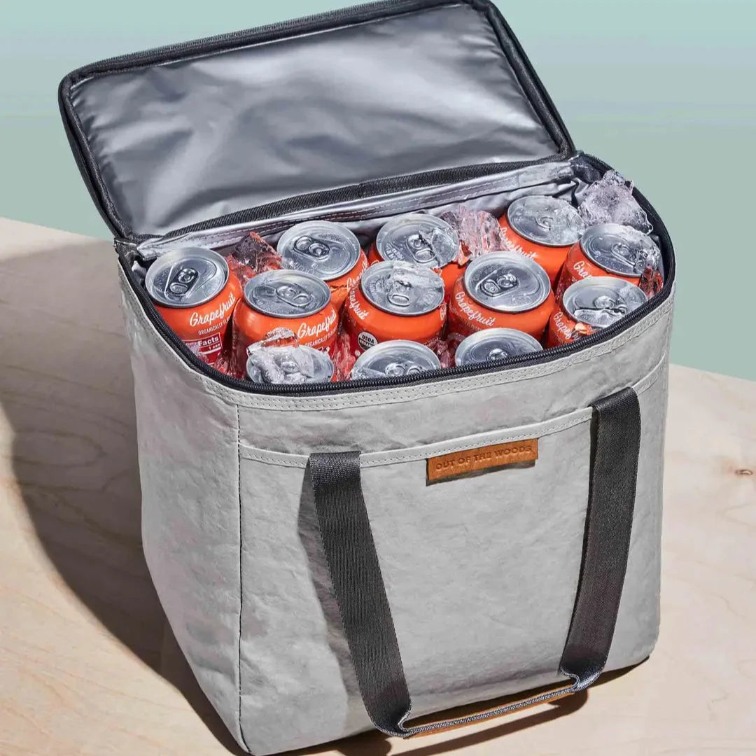 Dolphin Reusable Insulated Cooler Bag