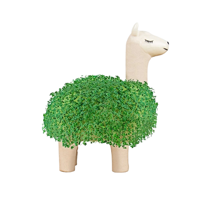 Llama Planter