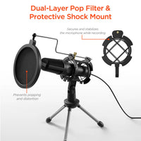 Pro-Audio Condenser Microphone