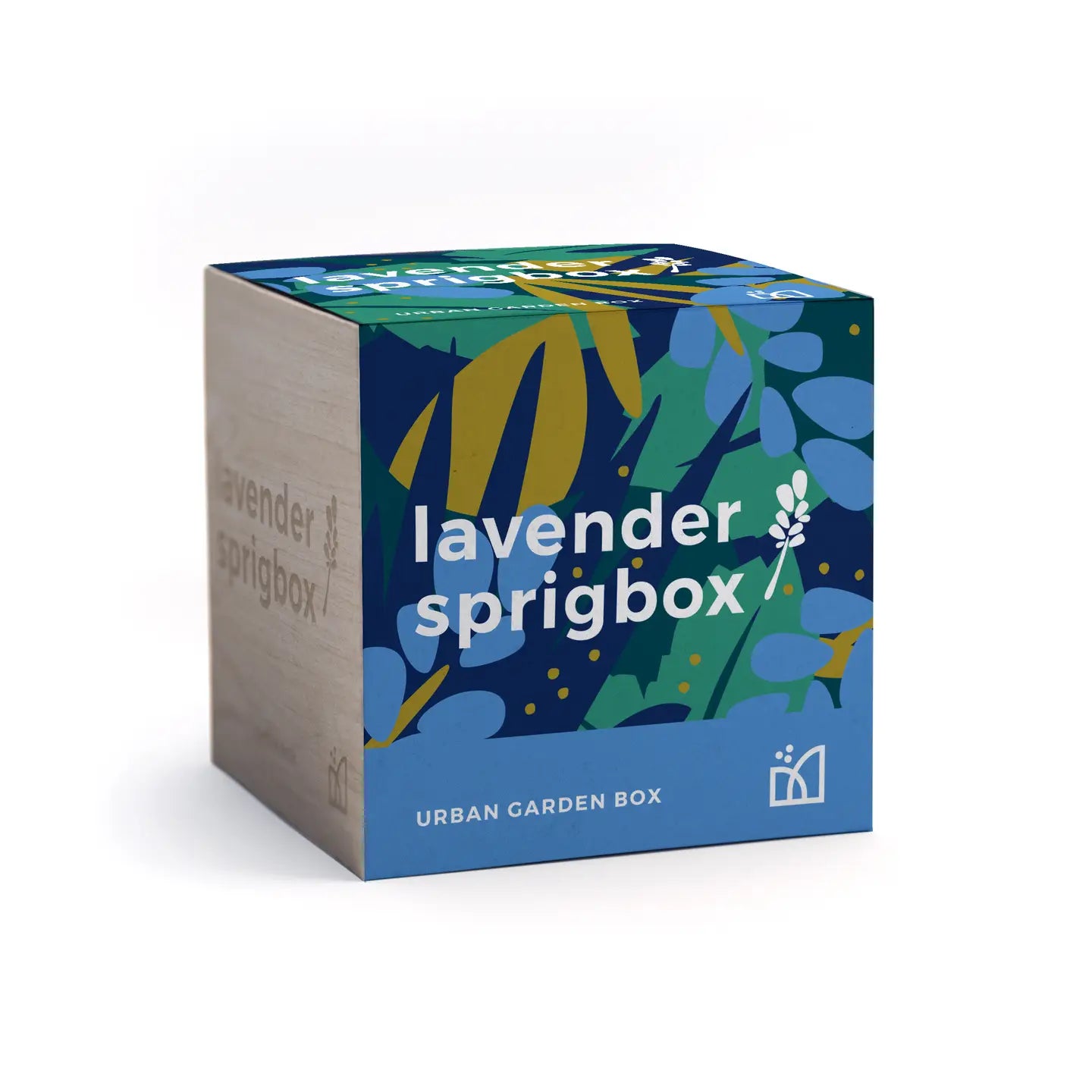 Lavender Flower Grow Kit in Wooden Planter