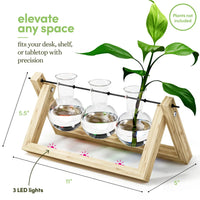 Bamboo Air Planter