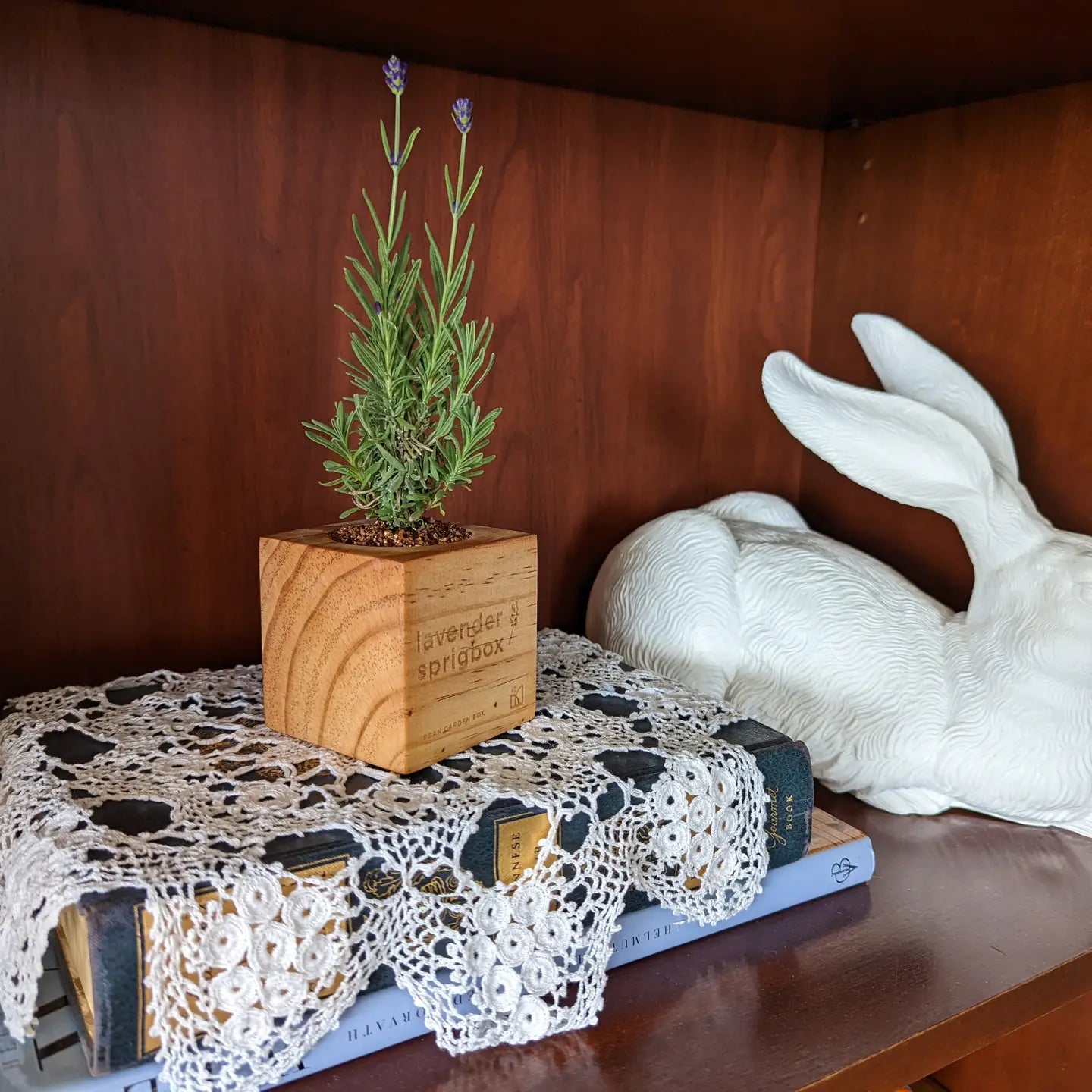 Lavender Flower Grow Kit in Wooden Planter