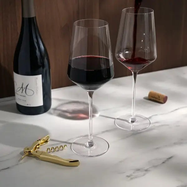Wine Glass Set of 2 & Corkscrew Gift Box