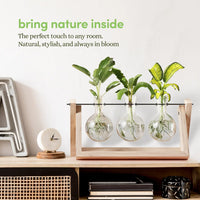 Bamboo Air Planter