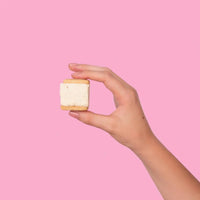 Vanilla Salted Caramel S'mores