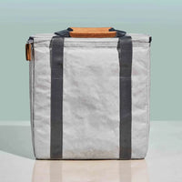 Dolphin Reusable Insulated Cooler Bag