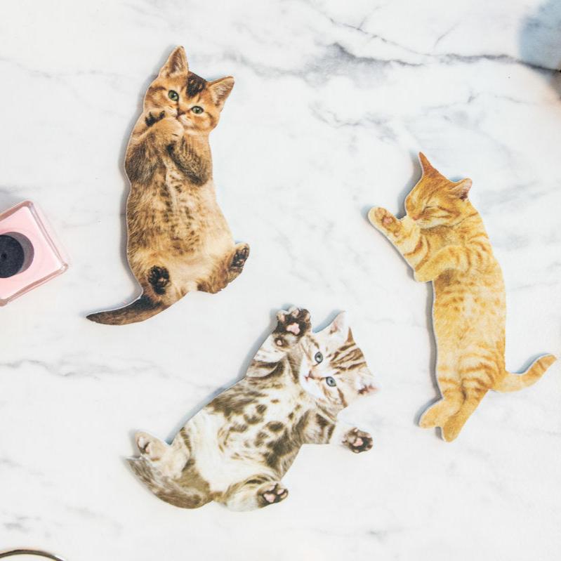 Kitty Nail File