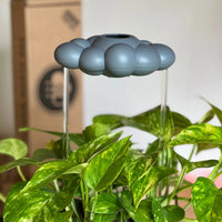 Storm Dripping Cloud for Plants