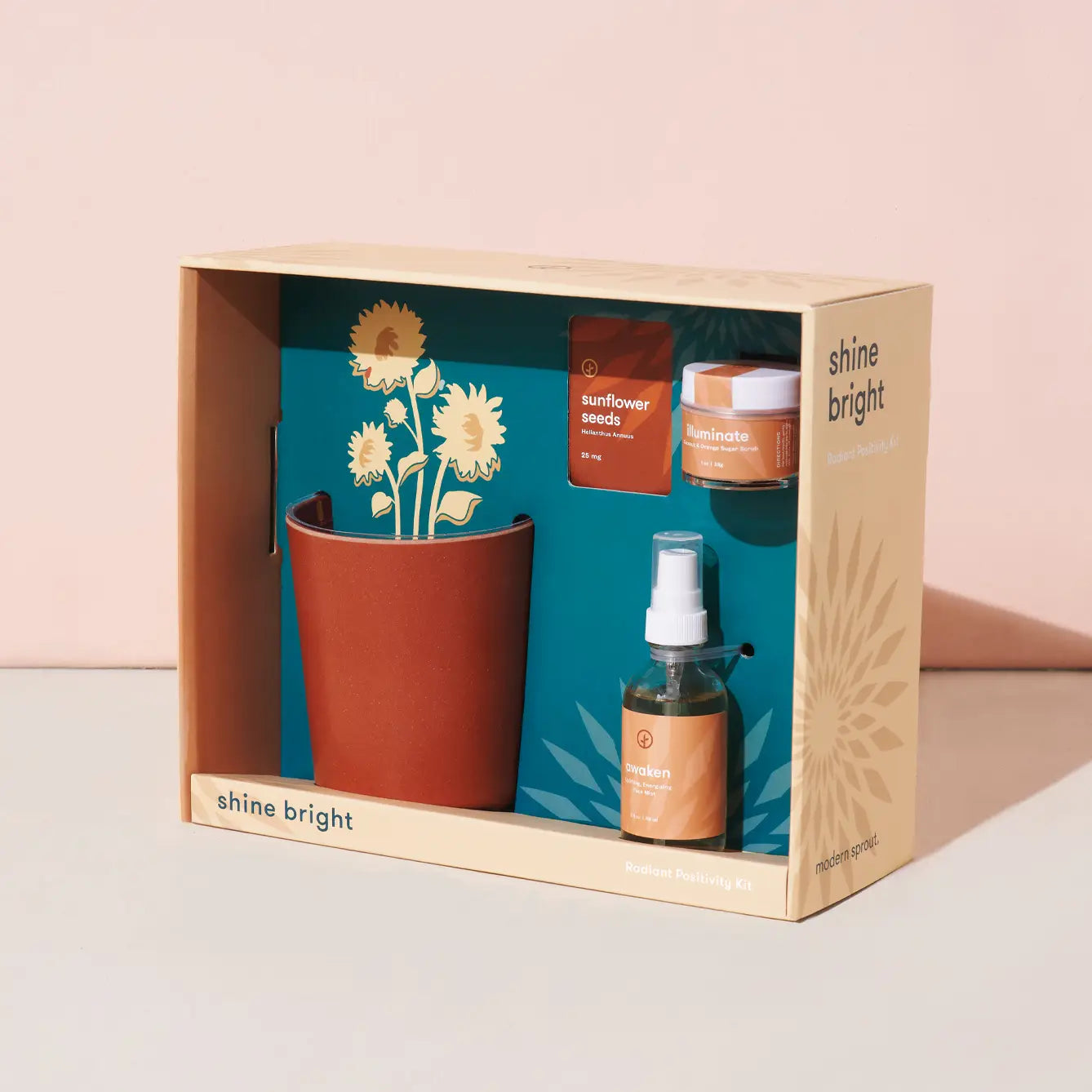 Radiant Positivity Botanical Kit
