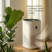 True HEPA Air Purifier – Breathe Better, Live Cleaner