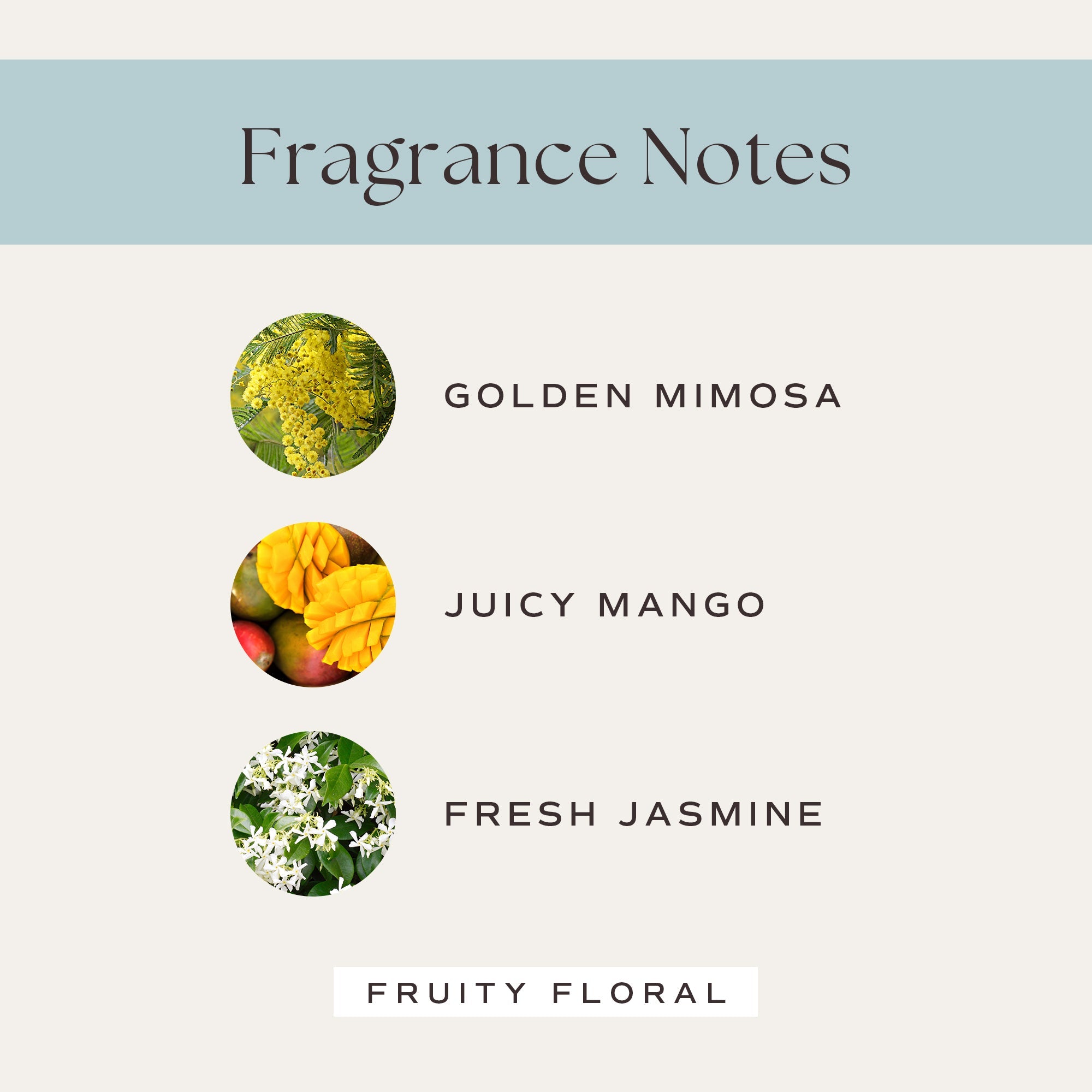 Fragrance Notes: Golden Mimosa, Juicy Mango, Fresh Jasmine