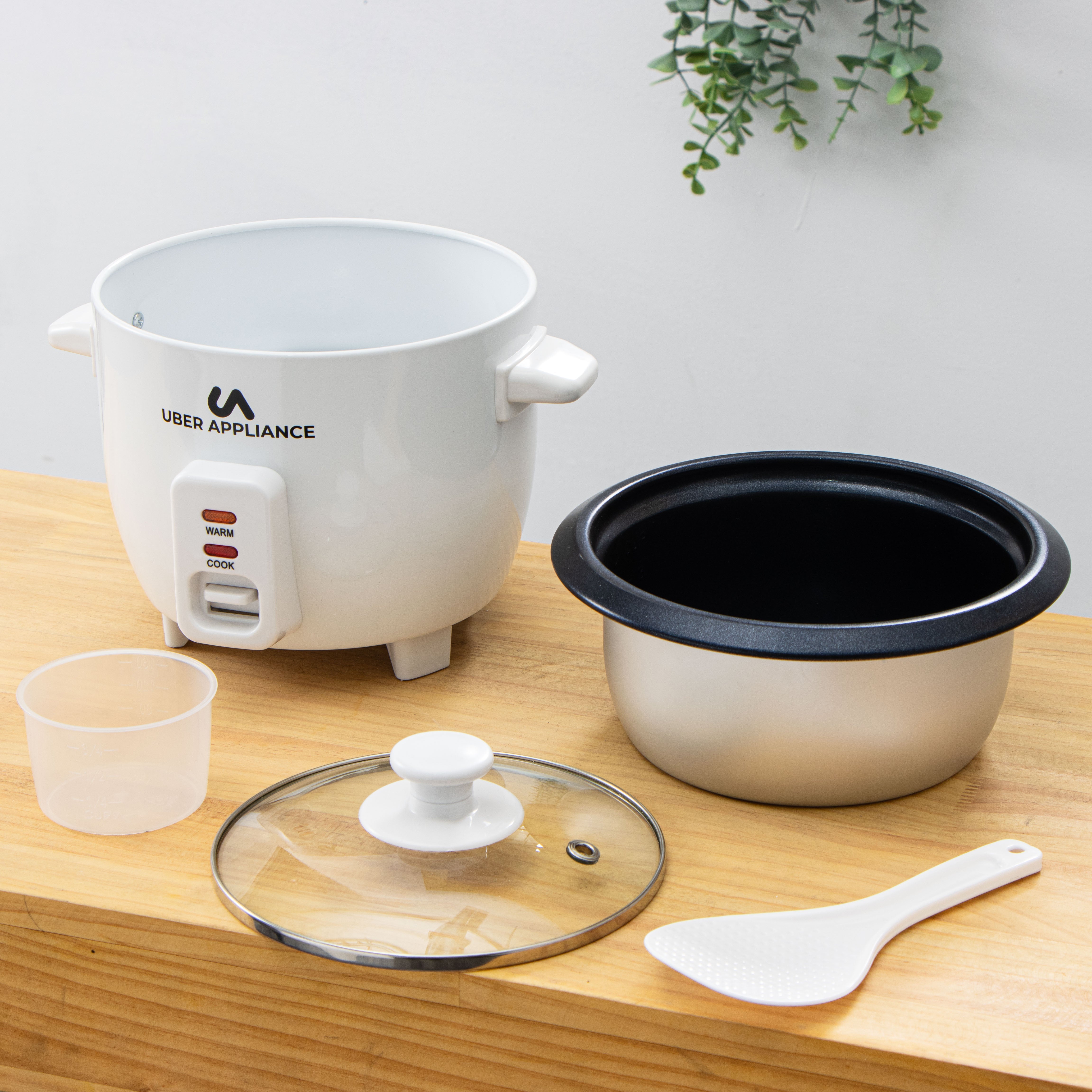 Rapid Rice Cooker 6 Cup capacity