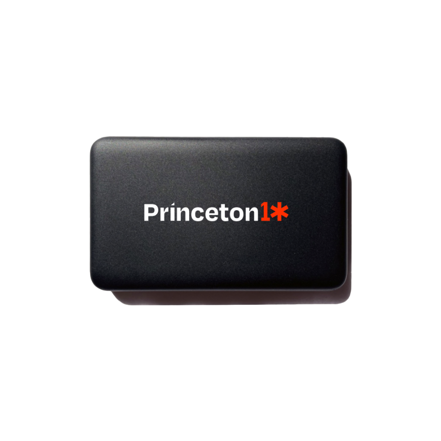 P10 Power Bank