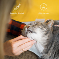 Pet Care Bundle: Furry Fresh Lavender Pet Wipes & Rechargeable Pet Hair Trimmer – Complete Grooming and Hygiene Kit for Dogs and Cats
