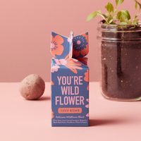 Wildflower Seed Bomb