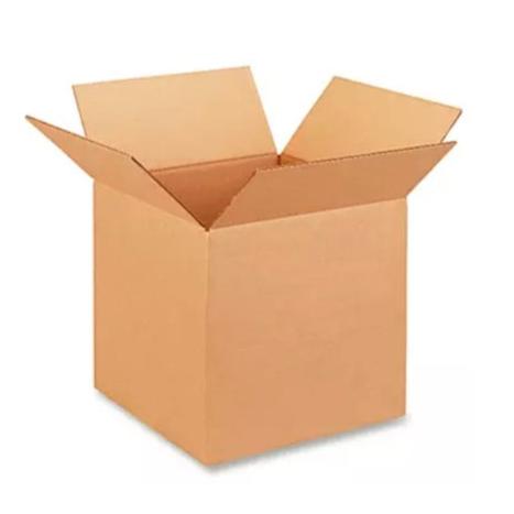 Companion Pet Holiday Gift 2024 - Hospital Box