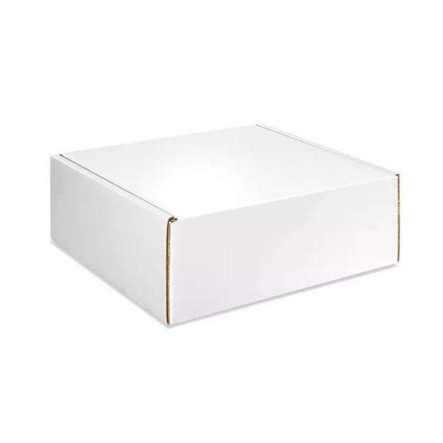 Apollo Client Holiday Gift 2024