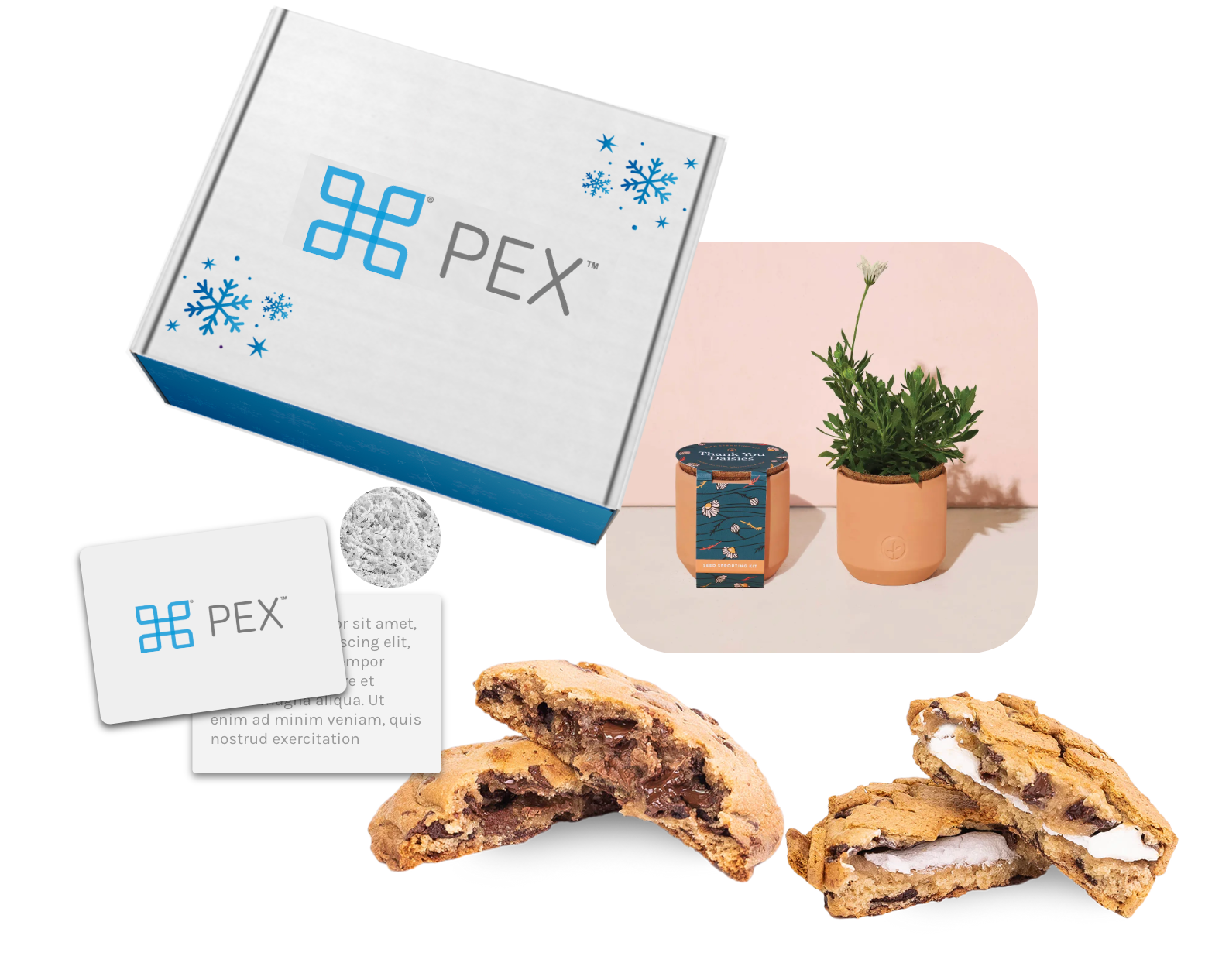 Pex Card Holiday 2024 Box