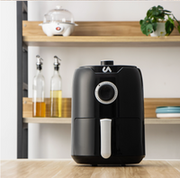 Mini Air Fryer