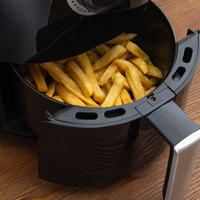 Mini Air Fryer