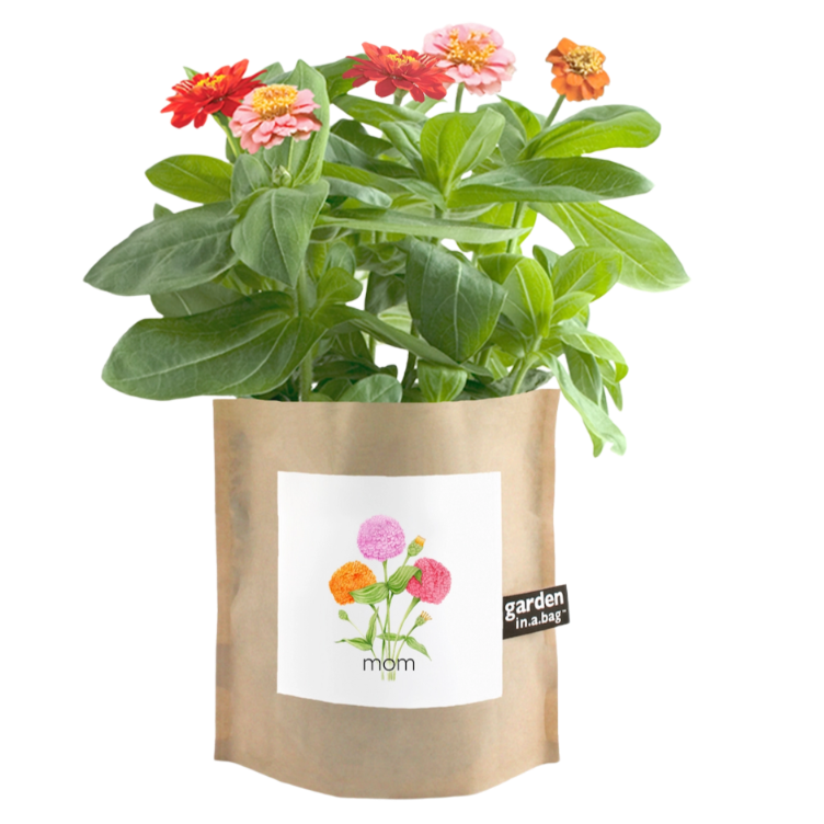 Mother's Day Garden in A Bag