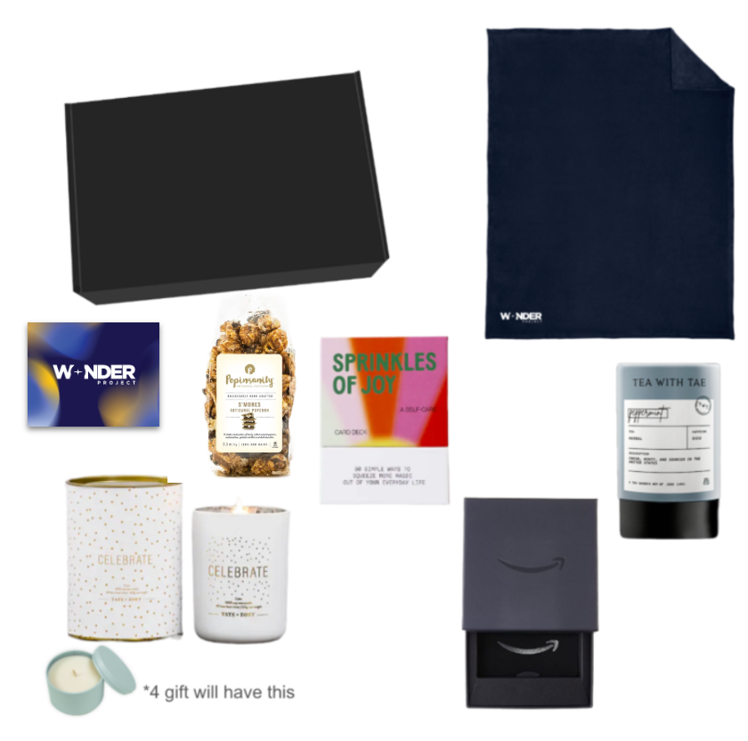 The Wonder Project Holiday Gift 2025
