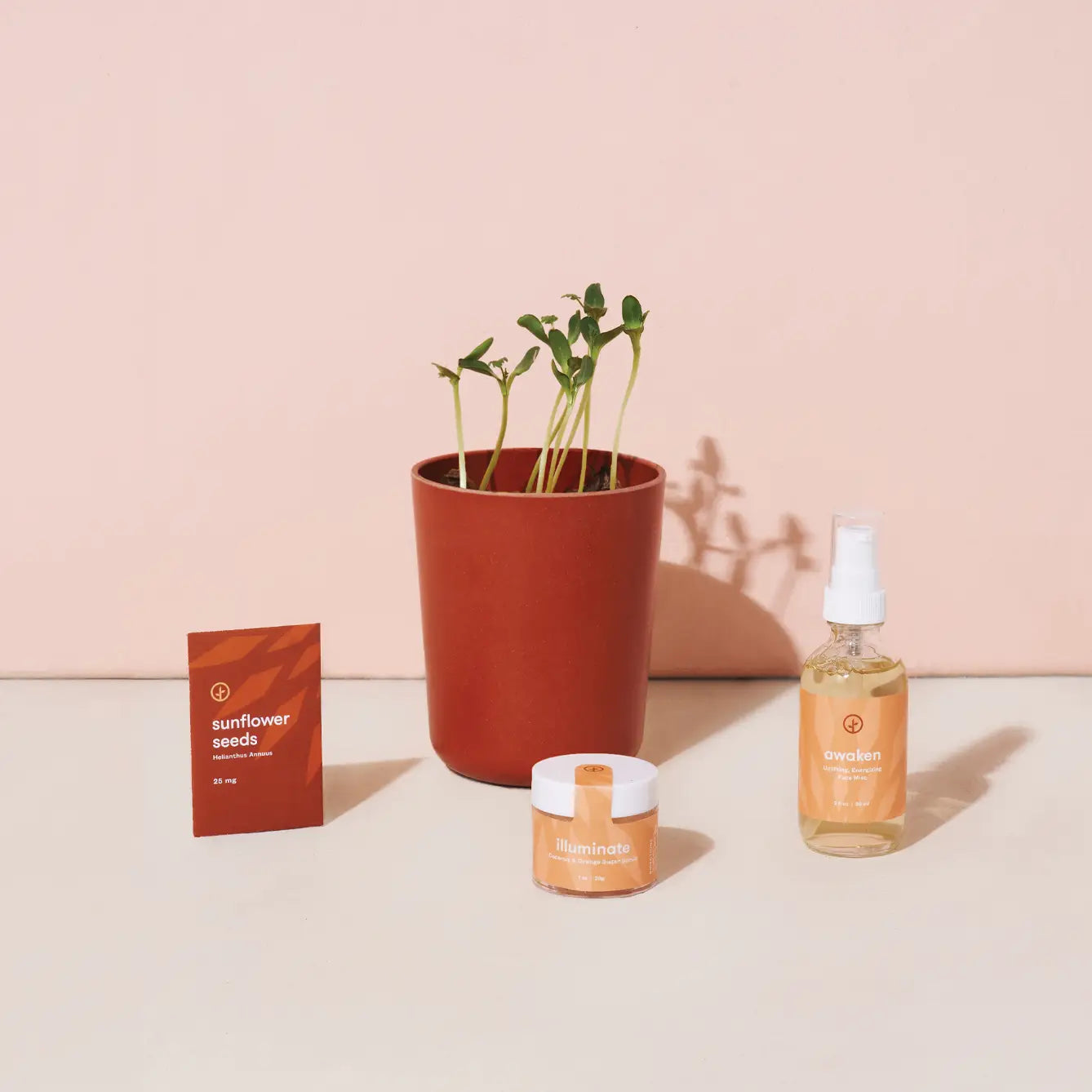 Radiant Positivity Botanical Kit