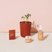 Radiant Positivity Botanical Kit