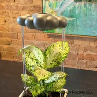 Storm Dripping Cloud for Plants