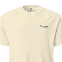 Unisex Garment-Dyed Heavyweight T-Shirt | Comfort Colors 1717