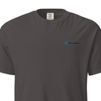 Unisex Garment-Dyed Heavyweight T-Shirt | Comfort Colors 1717