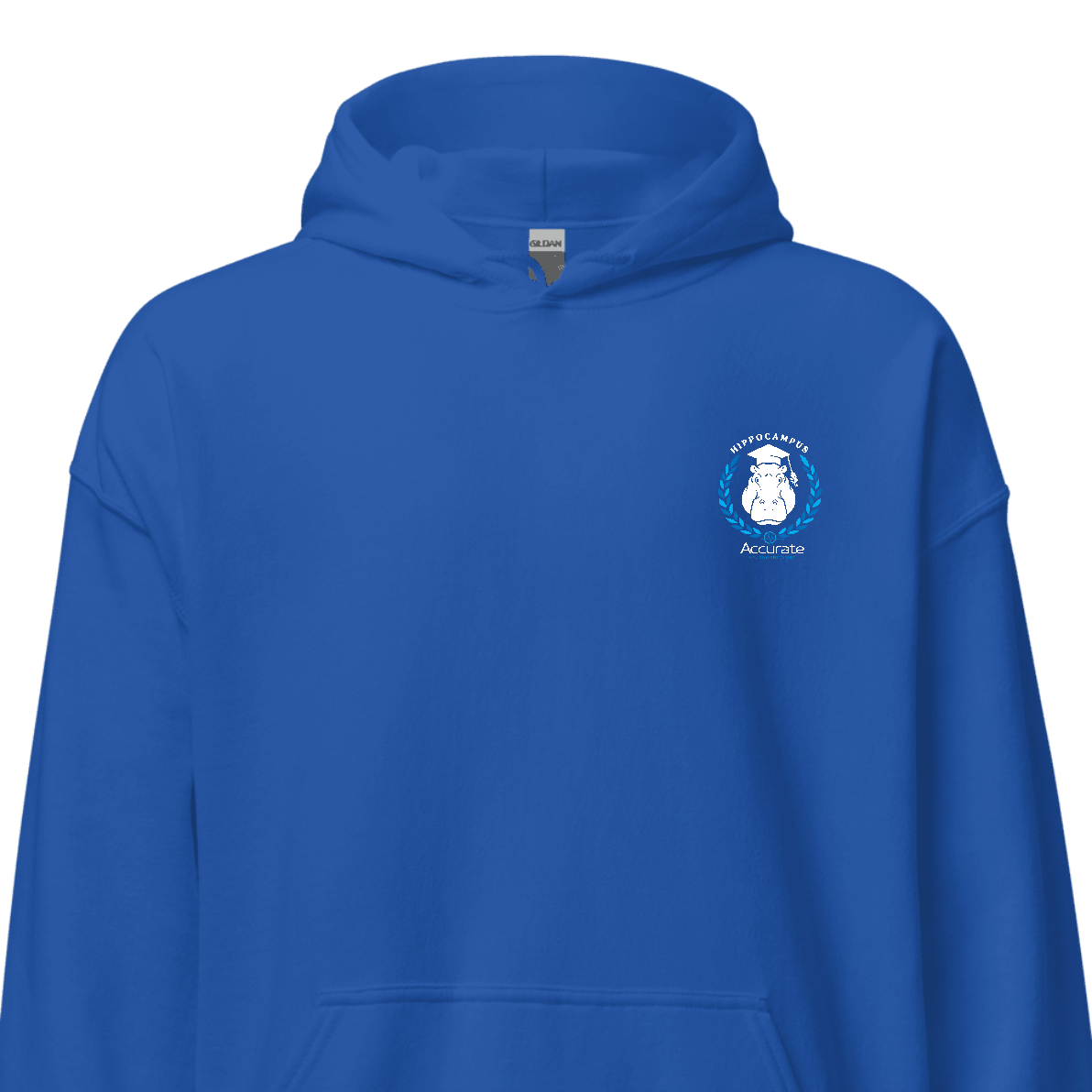 Gilan Unisex Heavy Blend Hoodie - Hippo
