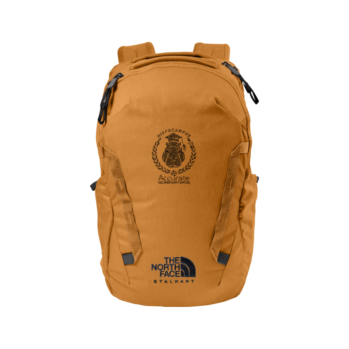 The North Face Stalwart Backpack - Hippo