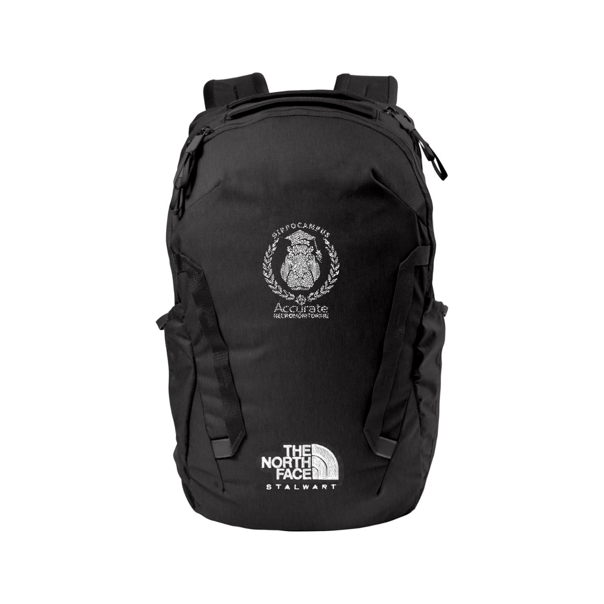 The North Face Stalwart Backpack - Hippo