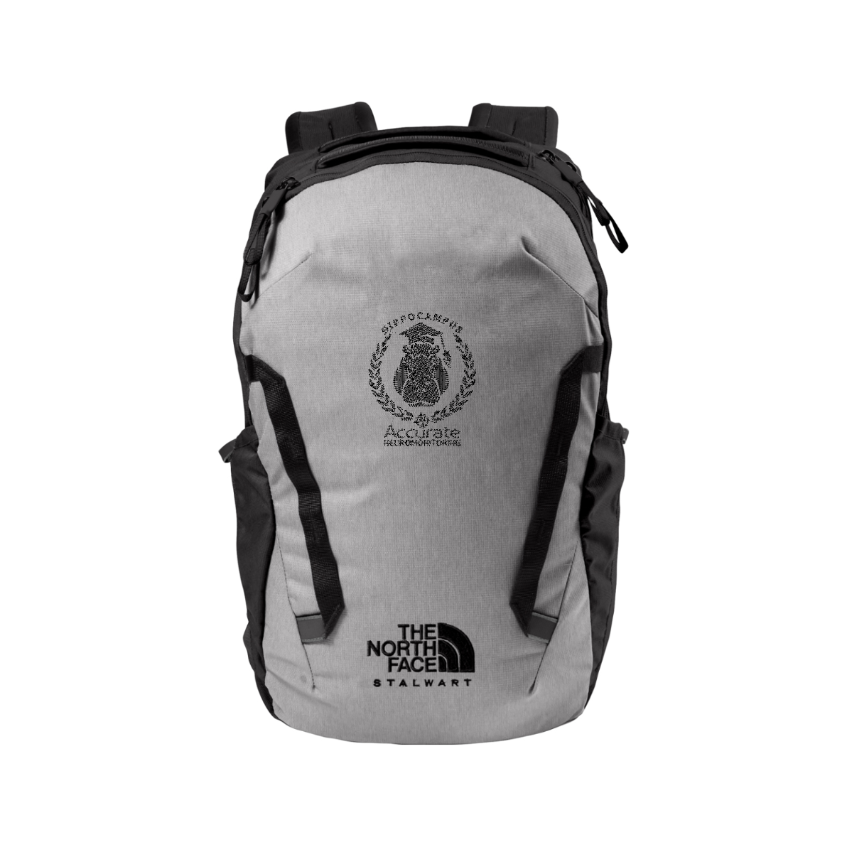 The North Face Stalwart Backpack - Hippo