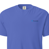 Unisex Garment-Dyed Heavyweight T-Shirt | Comfort Colors 1717