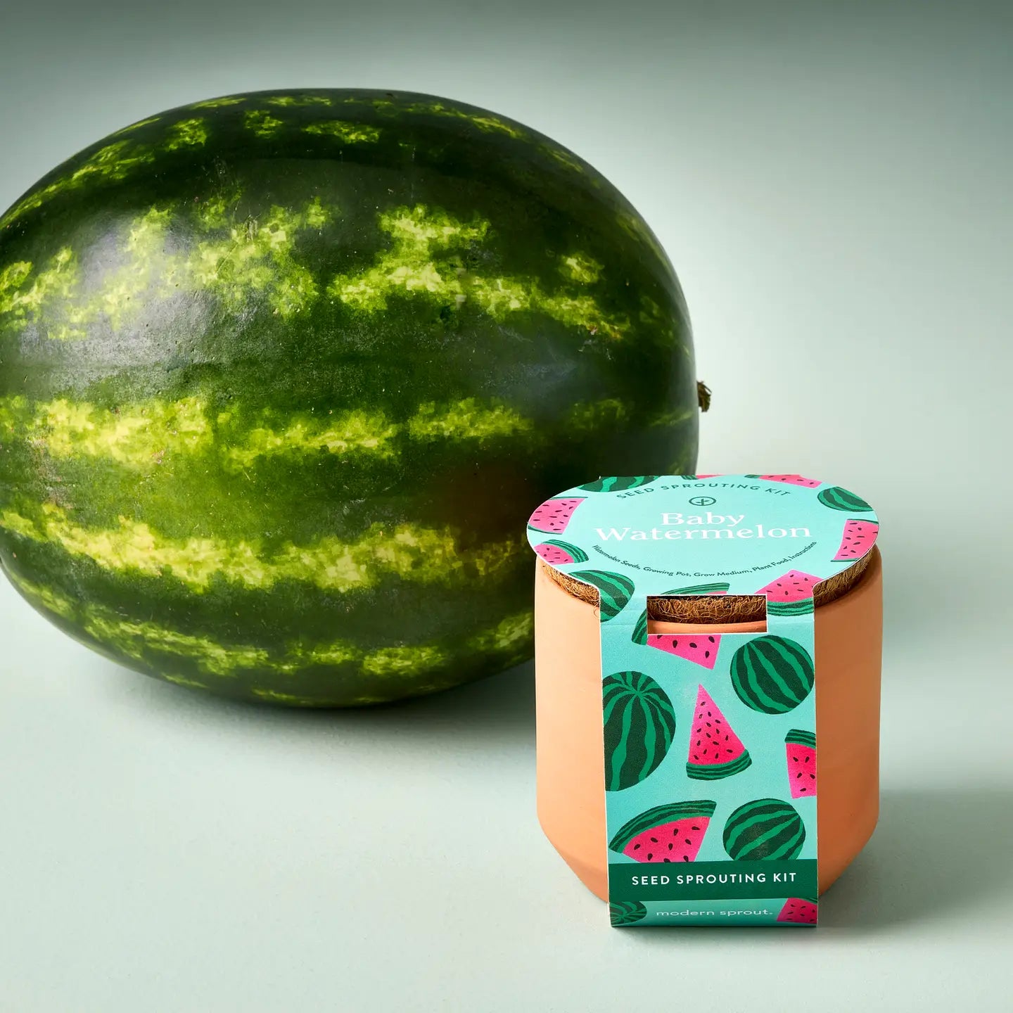 Watermelon Seed Sprouting Kit