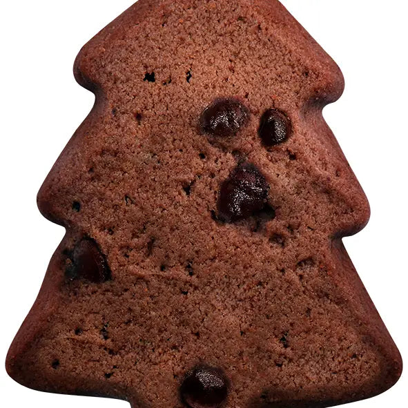 Chocolate Winter Cookies