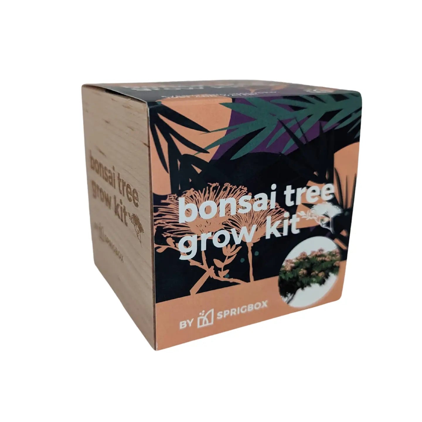 Bonsai Tree Grow Kit