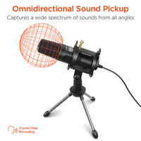 Pro-Audio Condenser Microphone