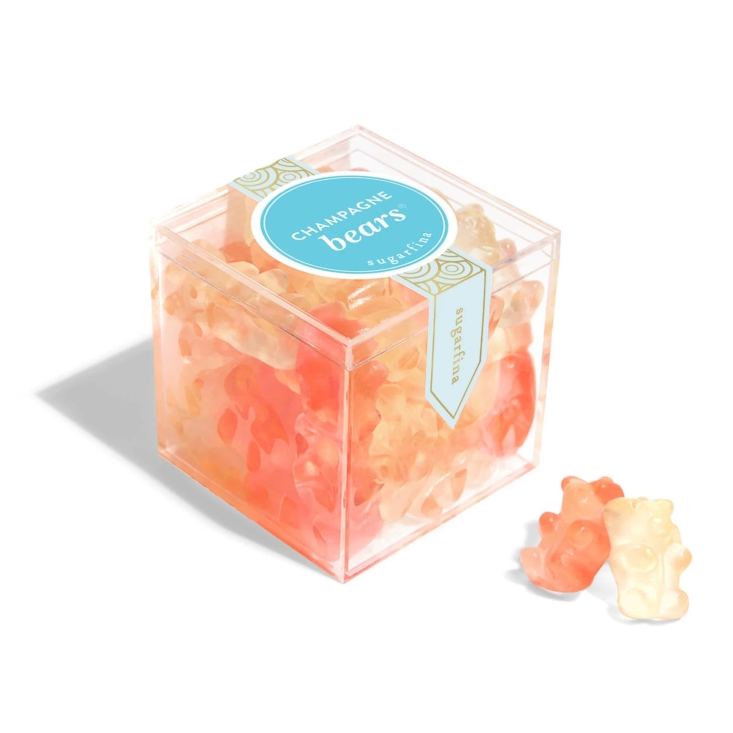 Champagne Bears