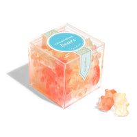 Champagne Bears