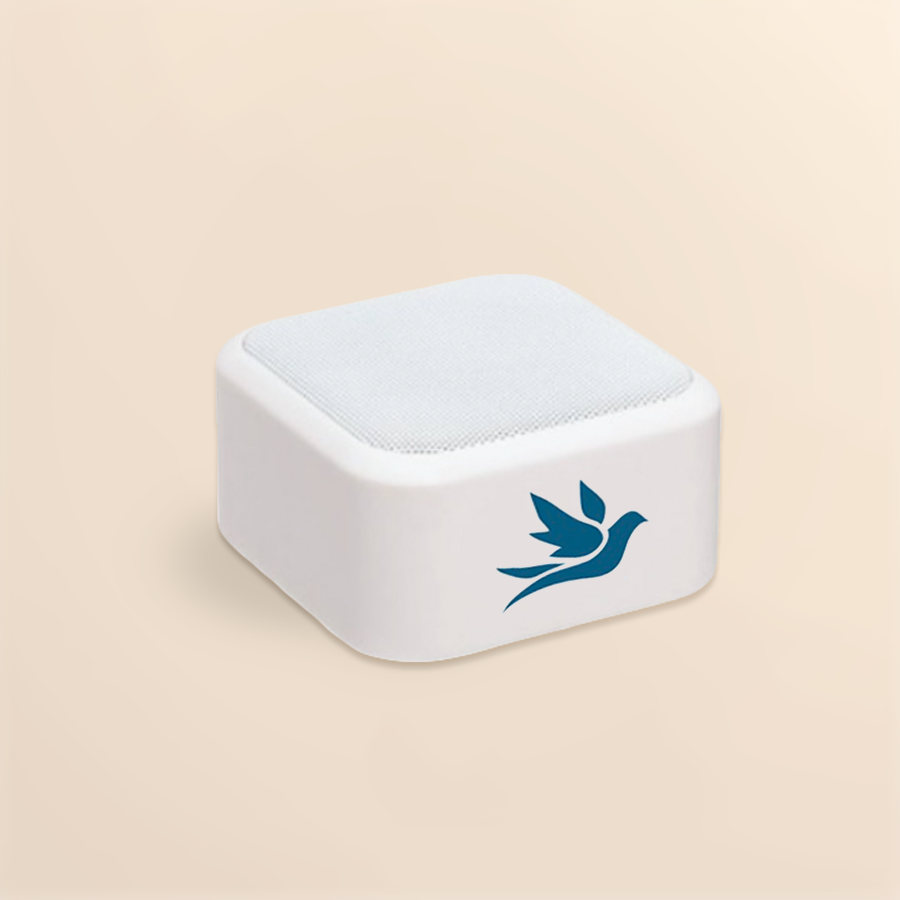 Meso Speaker