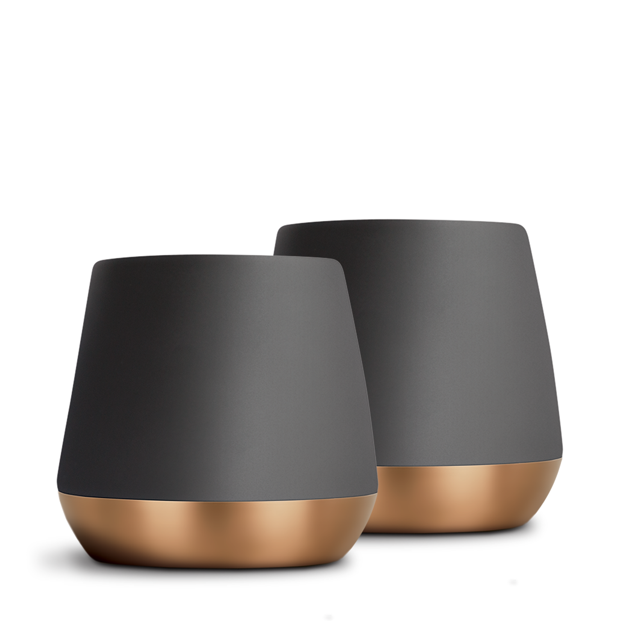 Joey Double Wall Ceramic Mugs-Matte Black-12 oz-Set of 2-Fellow