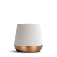 Joey Double Wall Ceramic Mugs-