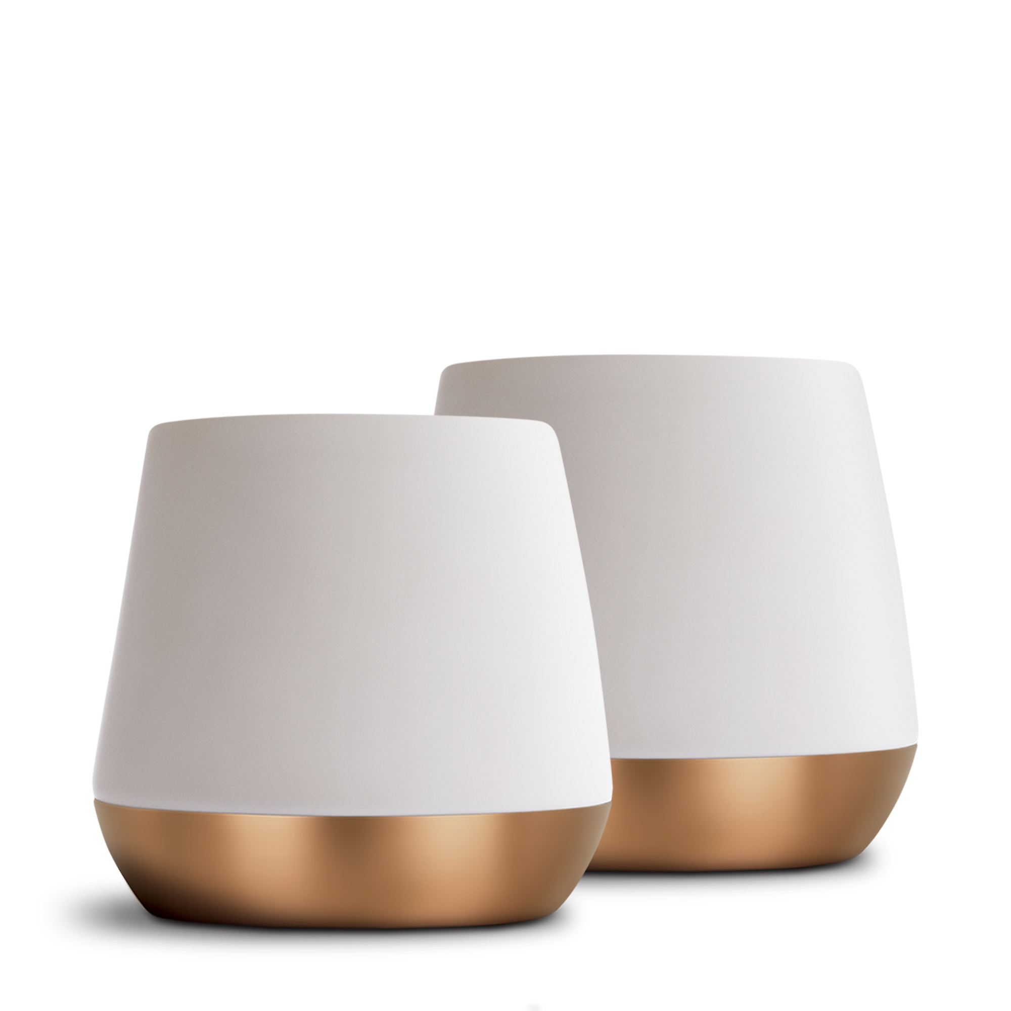 Joey Double Wall Ceramic Mugs-Matte White-12 oz-Set of 2-Fellow