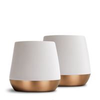 Joey Double Wall Ceramic Mugs-Matte White-12 oz-Set of 2-Fellow